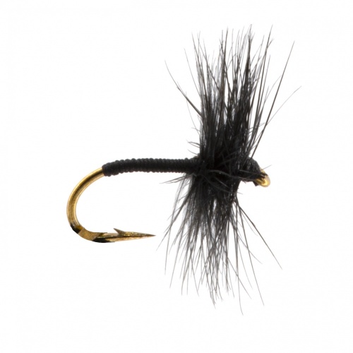 The Essential Fly Black Spider Fishing Fly